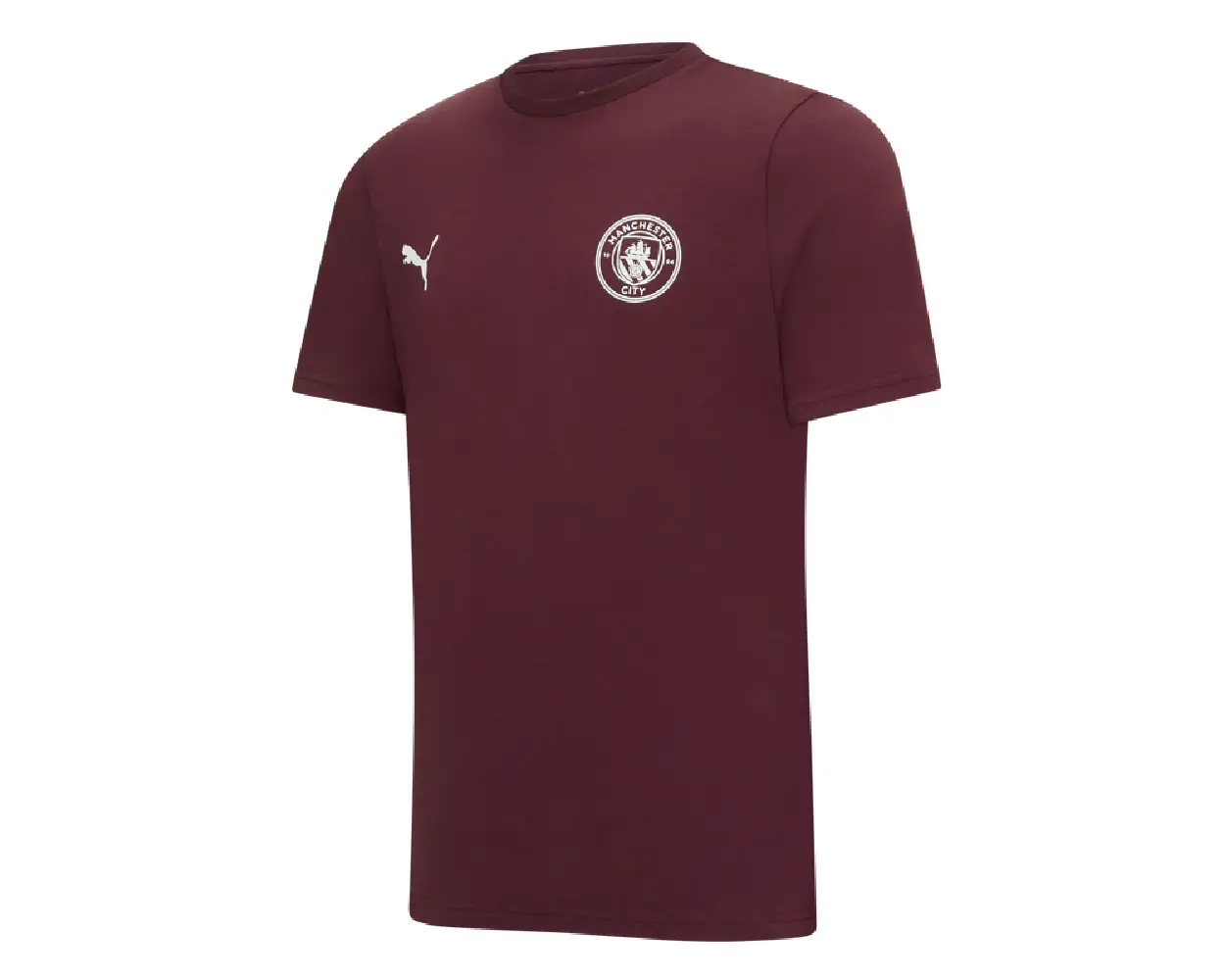 Soccer3 Manchester City Essentials Tee Marron (2)
