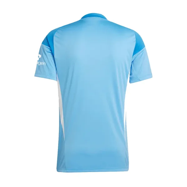 Soccer3 Nottingham Forest NFFC Blue Short Sleeve Goalkeeper Shirt 2526 (1)