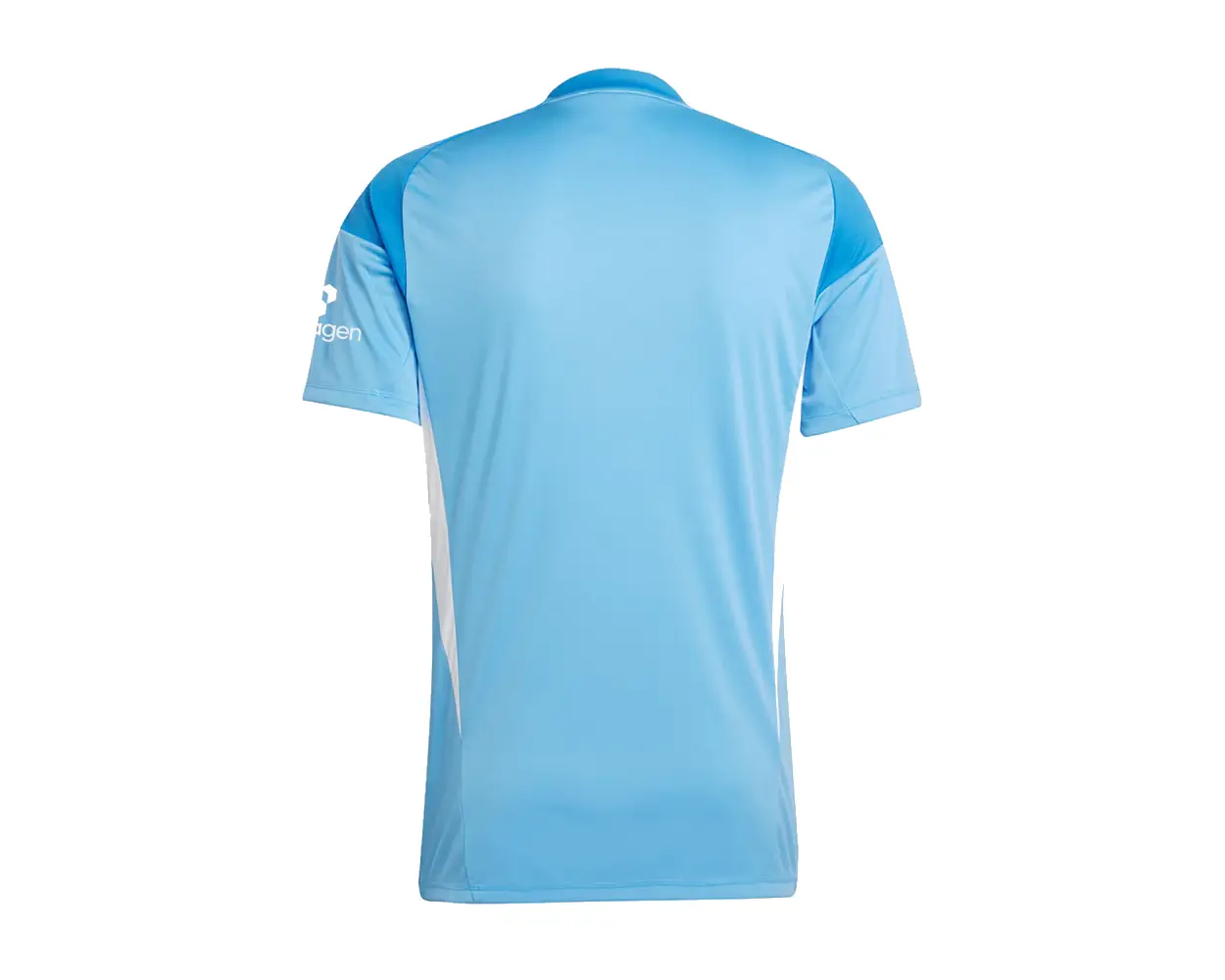 Soccer3 Nottingham Forest NFFC Blue Short Sleeve Goalkeeper Shirt 2526 (1)