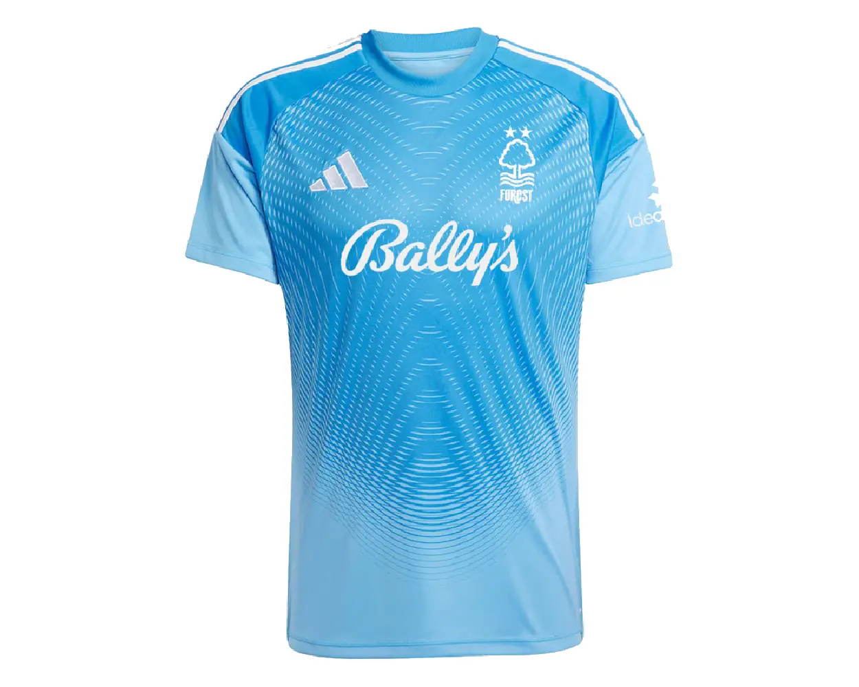 Soccer3 Nottingham Forest NFFC Blue Short Sleeve Goalkeeper Shirt 2526 (2)