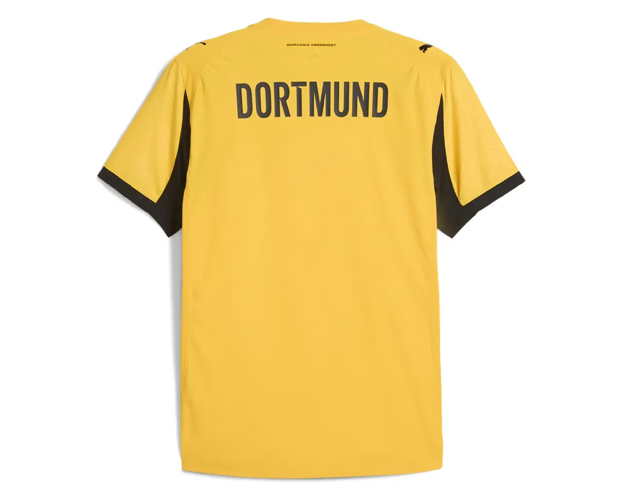 United States Borussia Dortmund 2526 Jersey (2)