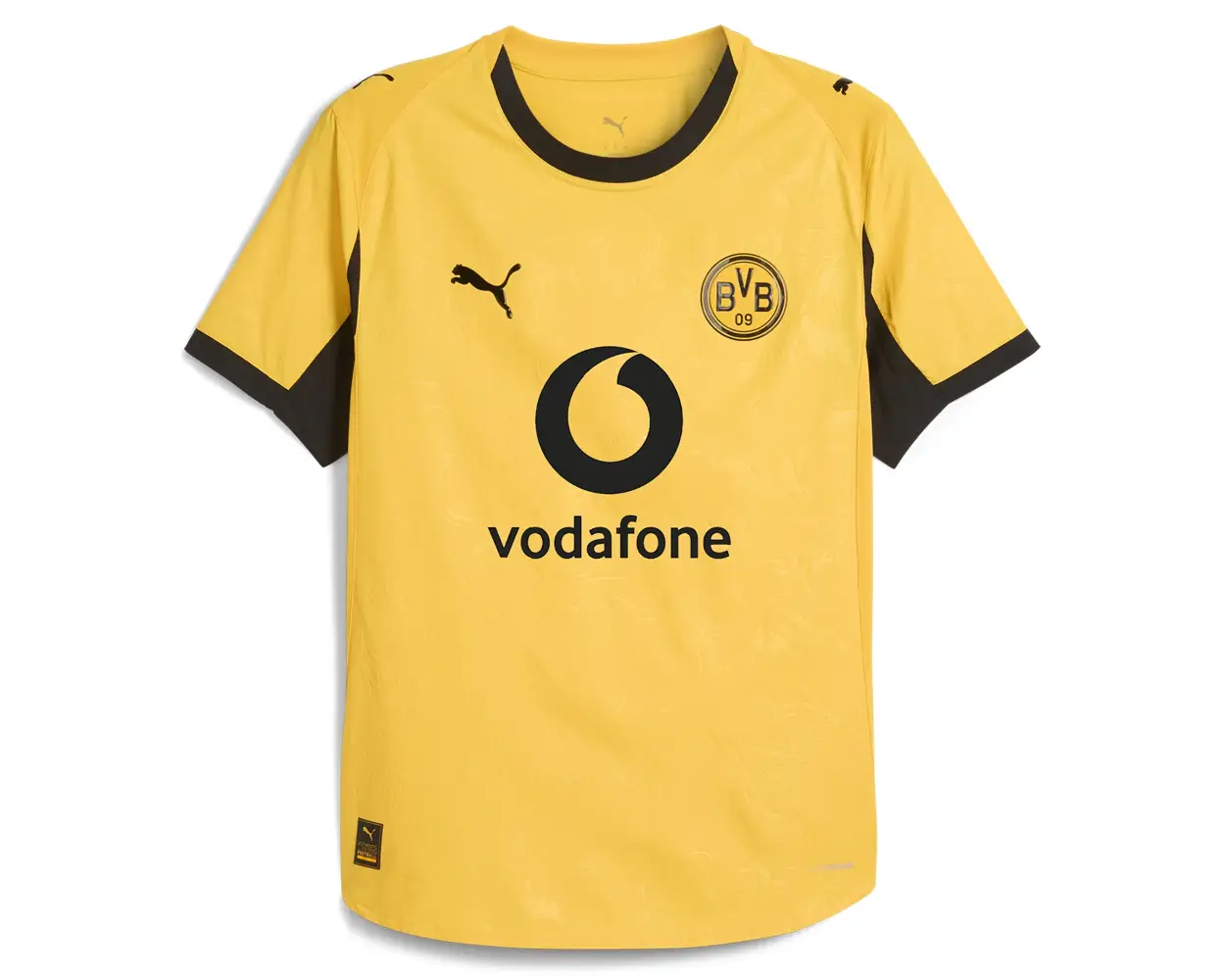 United States Borussia Dortmund 2526 Jersey (3)